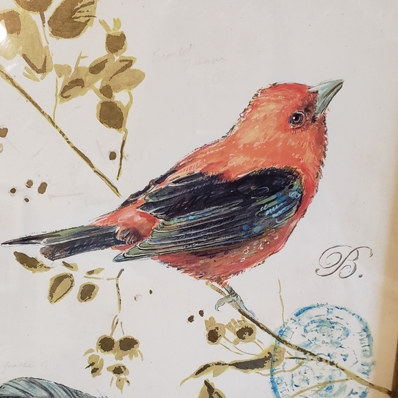 Bird picture. - Picture 8 of 9